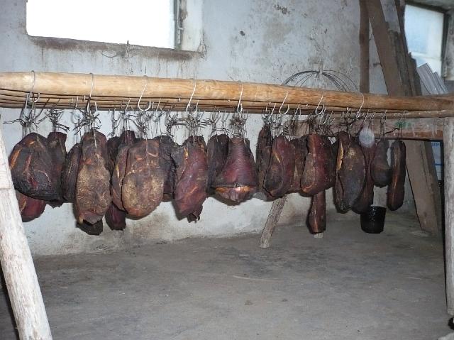 Bilder Schnapsen 034.jpg